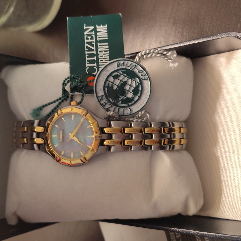 Citizen Women's Two-Tone Watch with Blue Dial